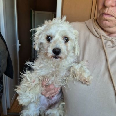 671413400 1310965567586424 4505540670039763091 n(1)