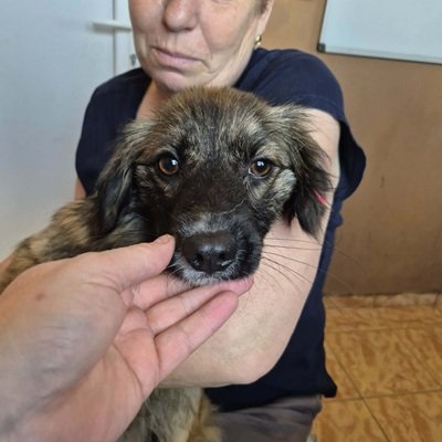 672353351 1562590175475009 8536017475612605252 n