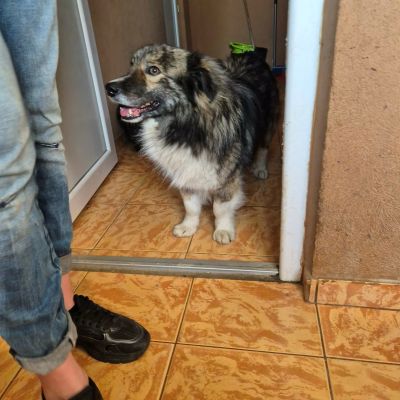 672446463 1413559377122358 6780178067461470263 n