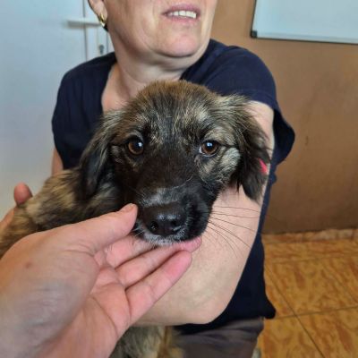 672644866 2003112520558112 4754670320276317570 n