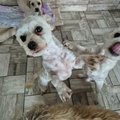 673117143 1457613156163316 5988402348819006576 n