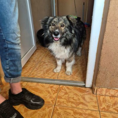 673512827 1409513537883346 6320574691082434712 n