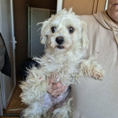 674096799 2545555602936314 8951507948125788001 n(1)