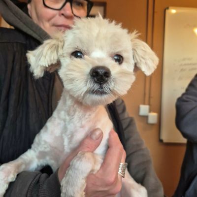 674275826 1686484519369502 867853660385758355 n