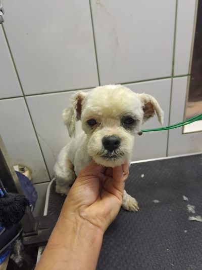 675819908 1848544729168031 1362728519452549419 n(1)