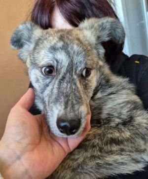 677228503 26651719517801956 8165341095219715927 n