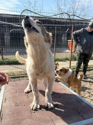 677256385 26664693563171218 4064255030546788967 n