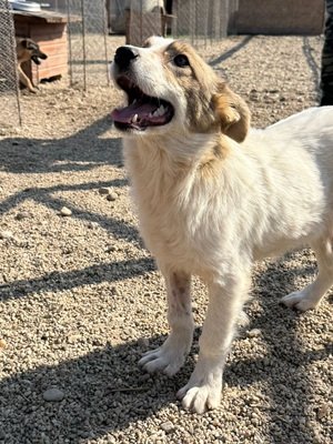 677290093 26664693193171255 3845731717792230277 n