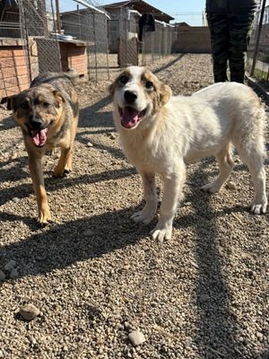 678655087 26664694643171110 5800526084282520314 n