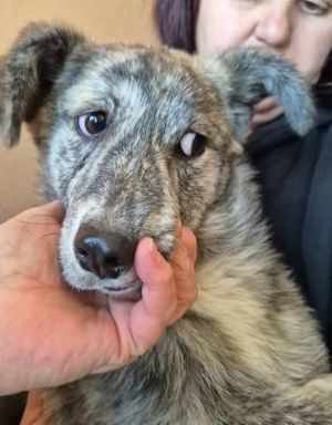 678655289 26651719524468622 4710387517913913922 n