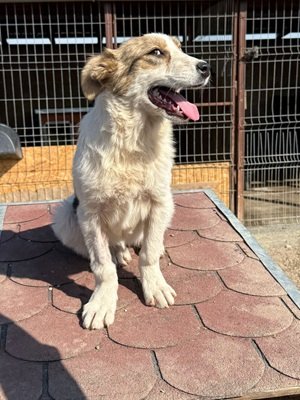 678766319 26664694353171139 8364669008244497444 n