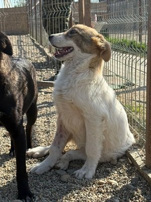 678770953 26664694303171144 9141410418780828075 n