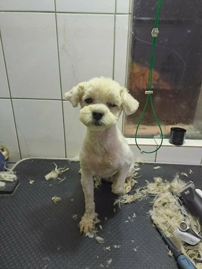 678928405 1249636333570575 3349051533661942066 n