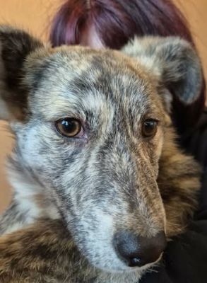 678997390 26651719697801938 1917672944562270120 n