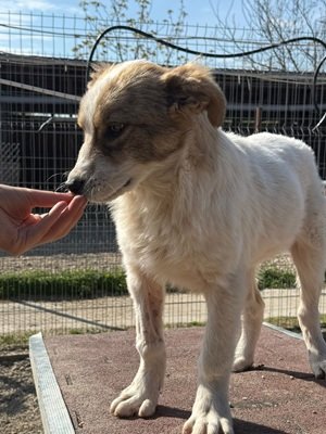 679551107 26664694853171089 6429075402171510550 n