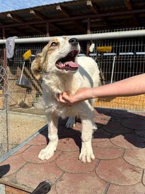 679653389 26664693153171259 8188952833144256693 n