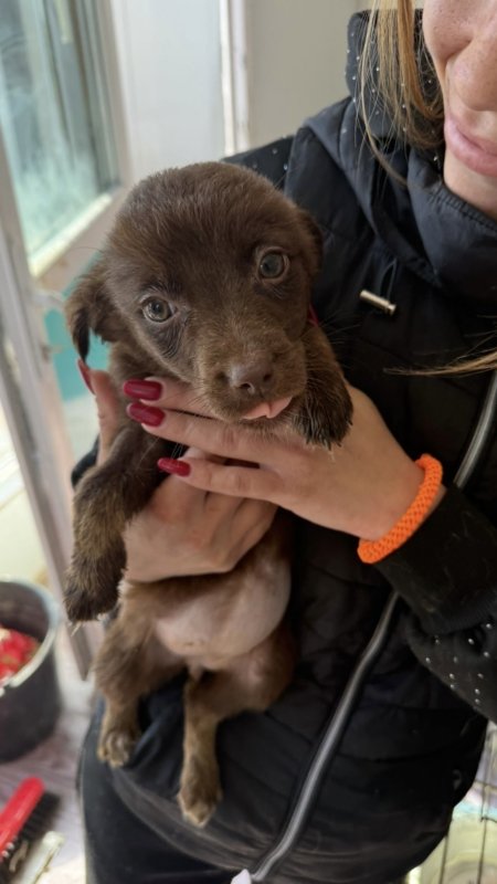 7029dac2 d17d 49eb a5fe b154b1d940f6