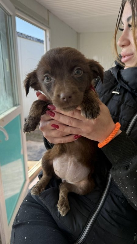 7c60cec4 09be 4466 a1a3 4e3fbe273825