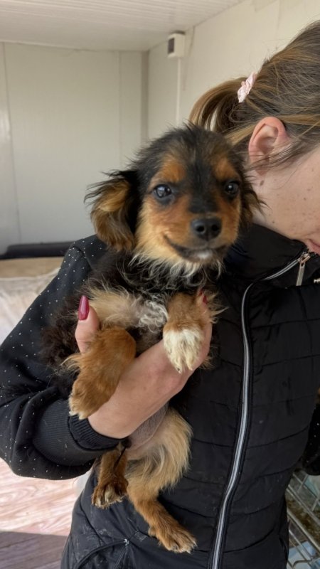 900f71b1 0f5a 4df5 bb49 ee6bef8af1e2