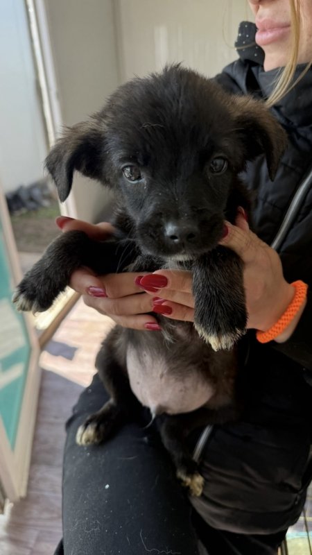 96af4f65 d29d 44b6 87a5 cad96d953291