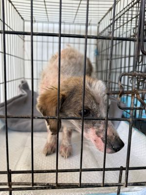 WhatsApp Image 2026 03 29 at 09.11.59