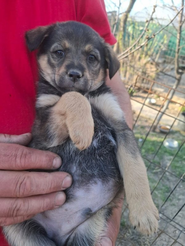 WhatsApp Image 2026 03 29 at 19.28.46 (1)