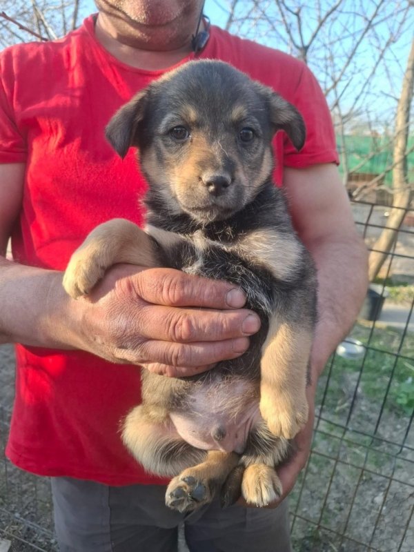 WhatsApp Image 2026 03 29 at 19.28.46 (2)