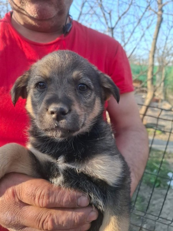 WhatsApp Image 2026 03 29 at 19.28.46