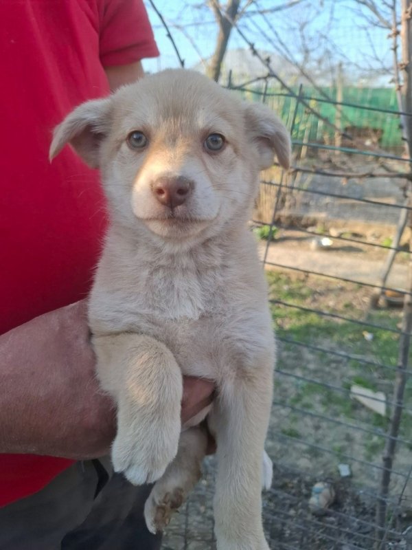 WhatsApp Image 2026 03 29 at 19.28.51 (1)