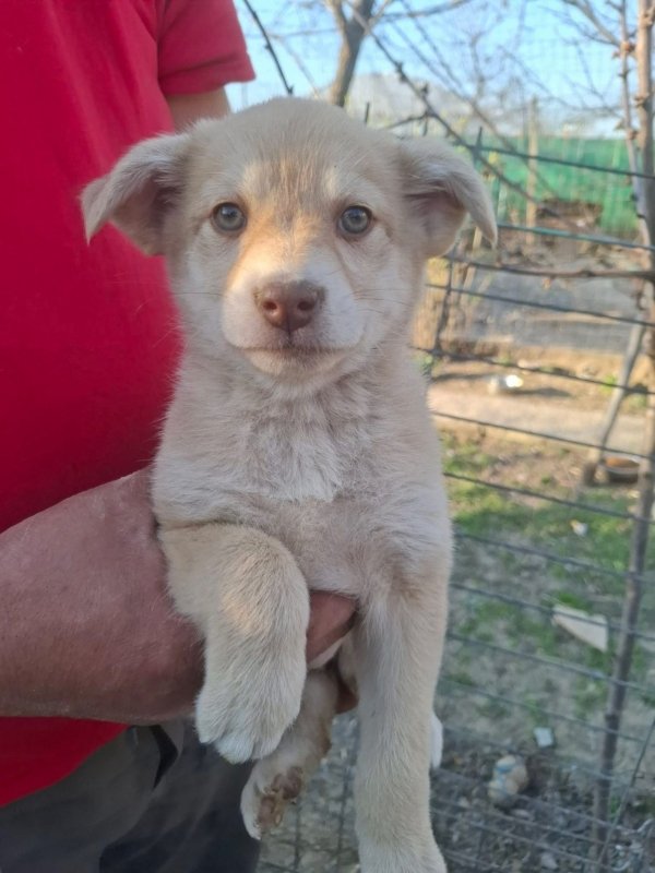 WhatsApp Image 2026 03 29 at 19.28.51 (2)