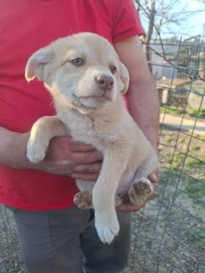 WhatsApp Image 2026 03 29 at 19.28.51