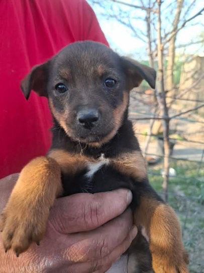 WhatsApp Image 2026 03 29 at 19.28.57