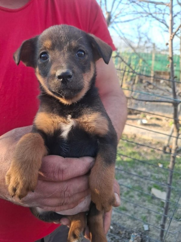 WhatsApp Image 2026 03 29 at 19.28.58 (1)