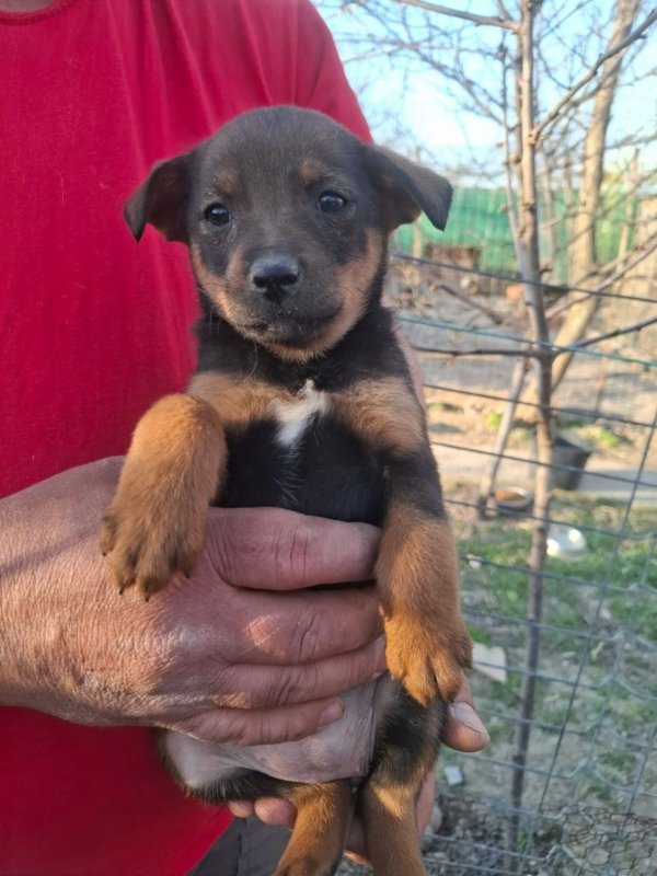 WhatsApp Image 2026 03 29 at 19.28.58