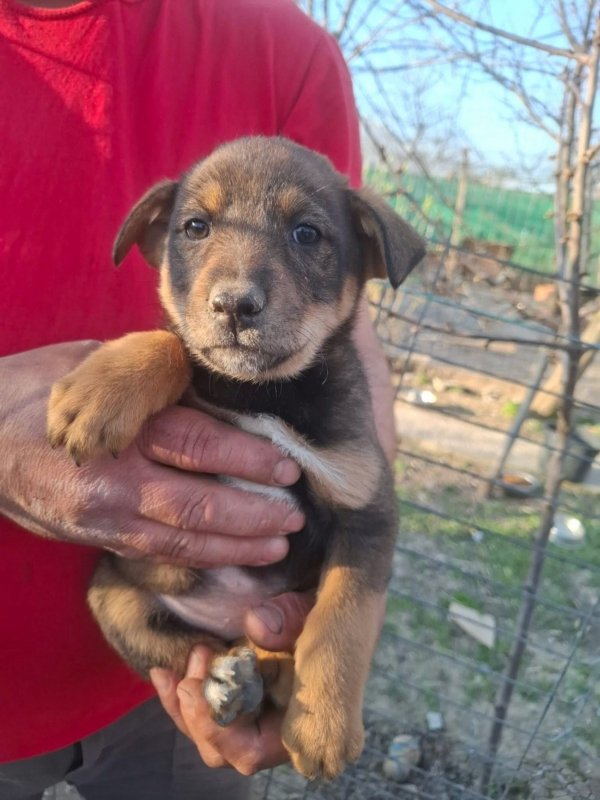 WhatsApp Image 2026 03 29 at 19.29.05 (1)