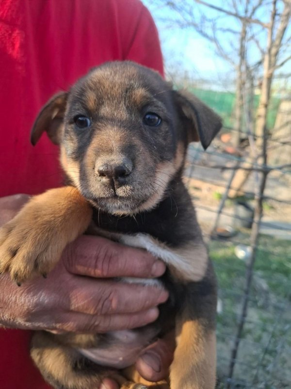 WhatsApp Image 2026 03 29 at 19.29.05 (2)