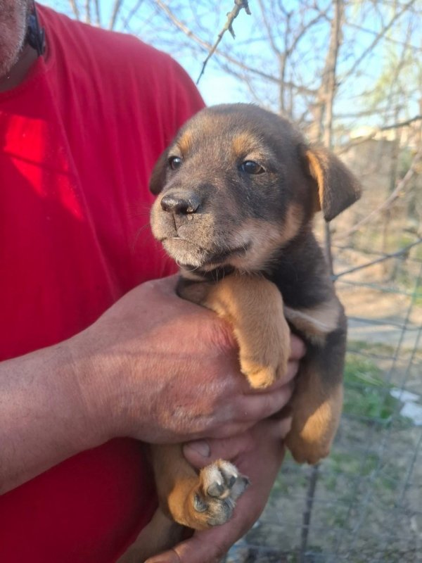 WhatsApp Image 2026 03 29 at 19.29.05