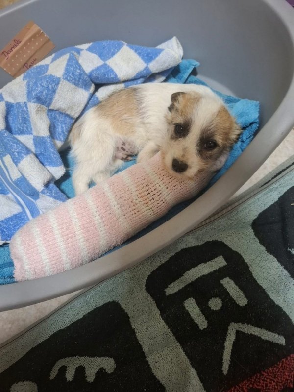 WhatsApp Image 2026 03 30 at 20.58.23