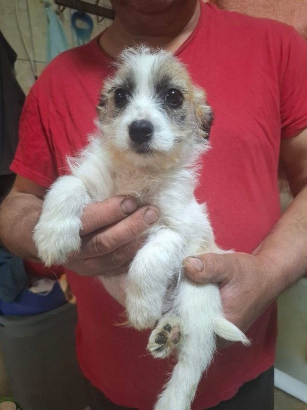 WhatsApp Image 2026 03 30 at 20.58.24 (2)