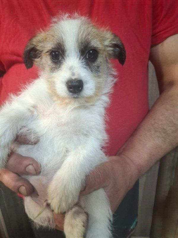 WhatsApp Image 2026 03 30 at 20.58.24