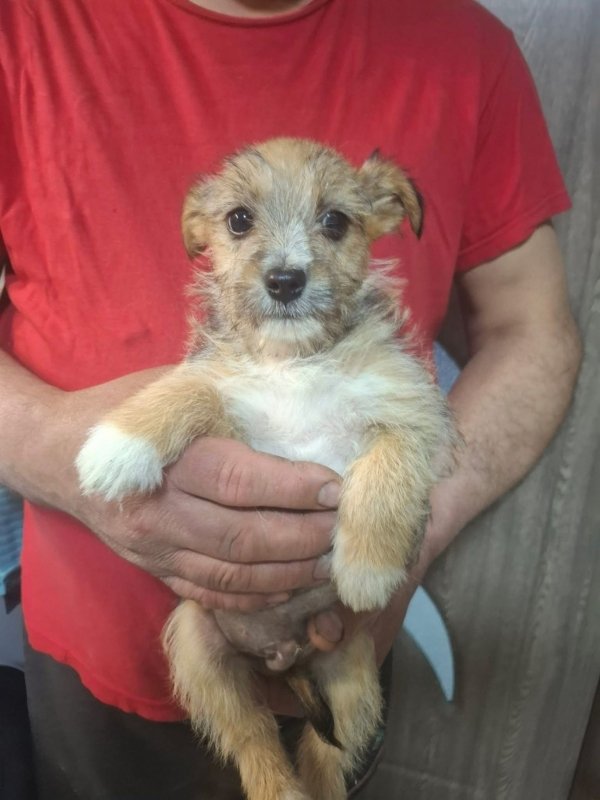 WhatsApp Image 2026 03 30 at 20.58.30 (1)