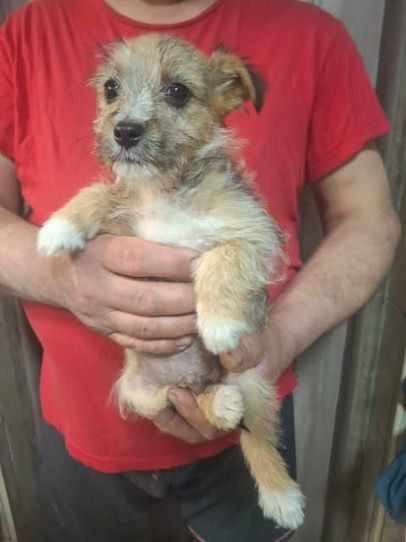 WhatsApp Image 2026 03 30 at 20.58.30 (2)