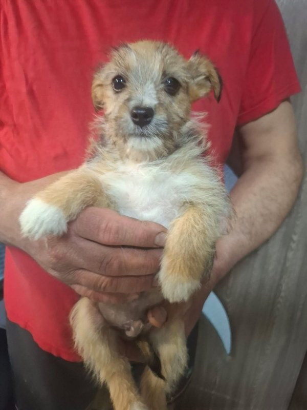 WhatsApp Image 2026 03 30 at 20.58.30