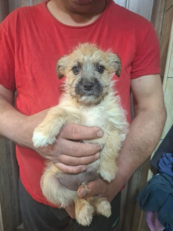 WhatsApp Image 2026 03 30 at 20.58.35