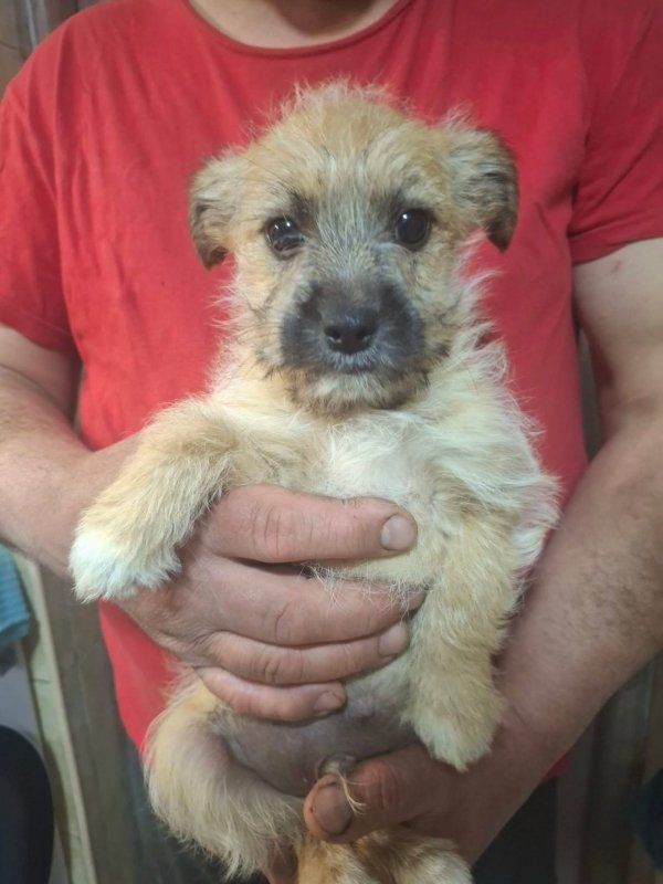 WhatsApp Image 2026 03 30 at 20.58.36 (1)