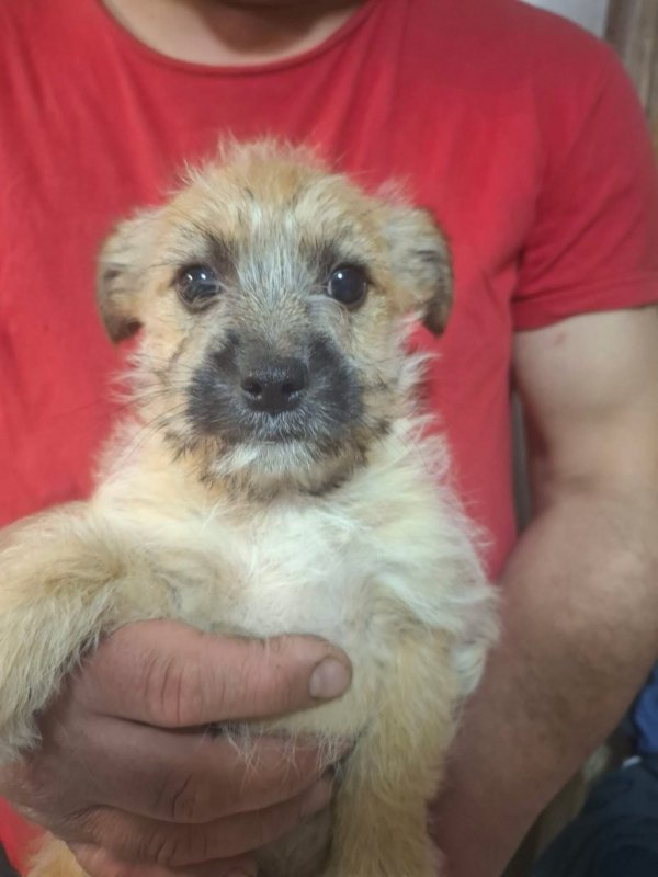 WhatsApp Image 2026 03 30 at 20.58.36