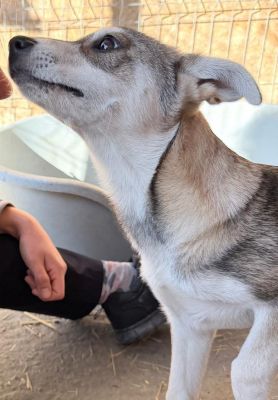 WhatsApp Image 2026 04 07 at 08.11.29