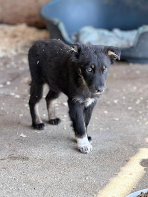 WhatsApp Image 2026 04 07 at 11.16.201