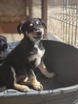 WhatsApp Image 2026 04 07 at 11.36.591