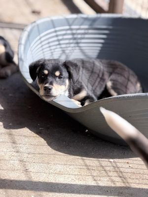 WhatsApp Image 2026 04 07 at 11.38.36